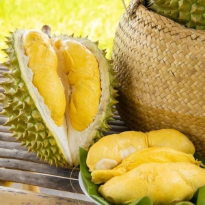 cach-phong-tru-benh-dom-la-o-cay-sau-rieng